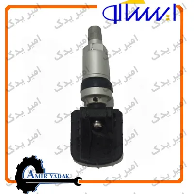 سنسور باد 207